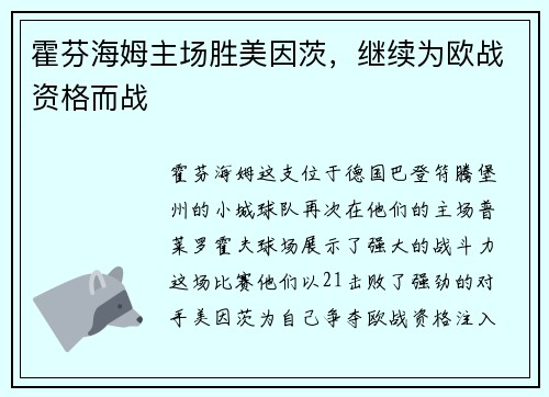 霍芬海姆主场胜美因茨，继续为欧战资格而战