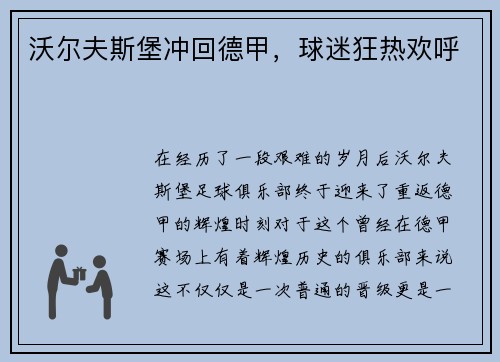 沃尔夫斯堡冲回德甲，球迷狂热欢呼